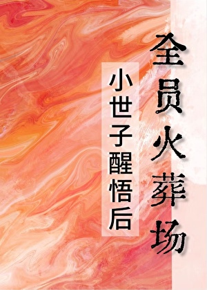 小世子醒悟后全员火葬场