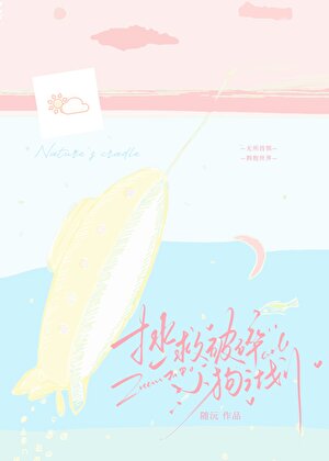 拯救破碎小狗计划