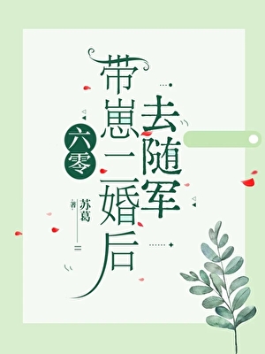 六零带崽二婚后去随军