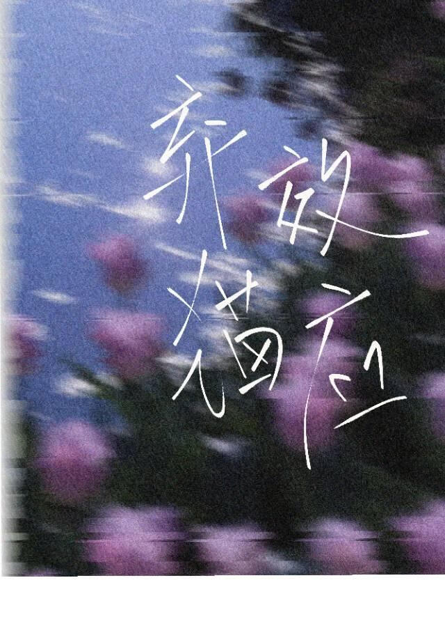 弃猫效应