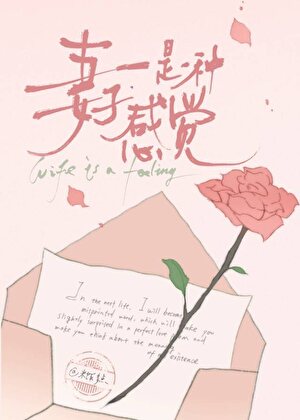 妻子是一种感觉