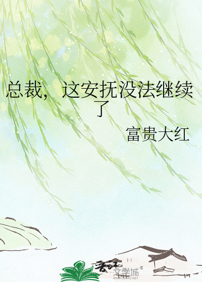 总裁，这安抚没法继续了
