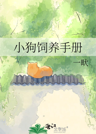 小狗饲养手册