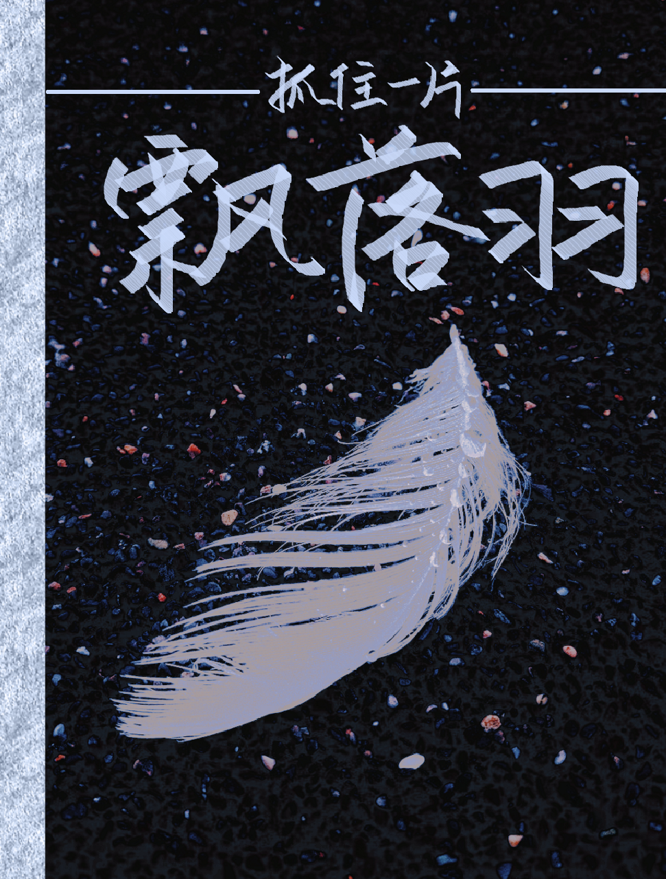 抓住一片飘落羽