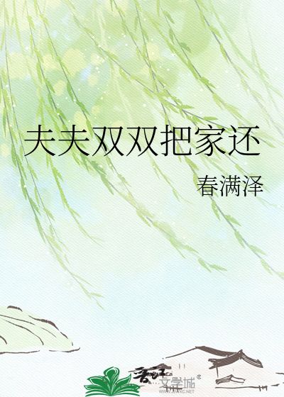夫夫双双把家还