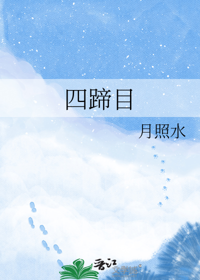 四蹄目