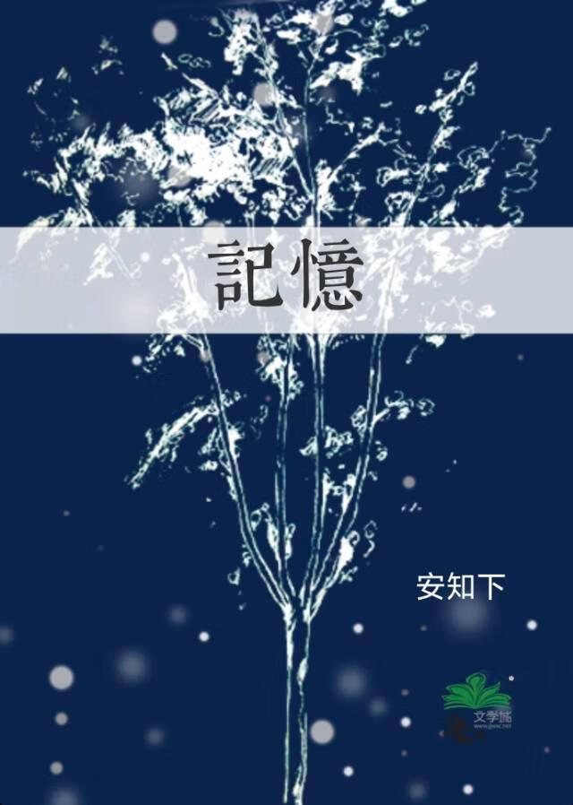 记忆