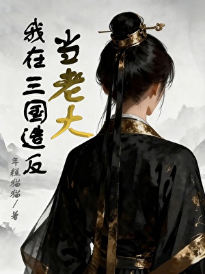 我在三国造反当老大