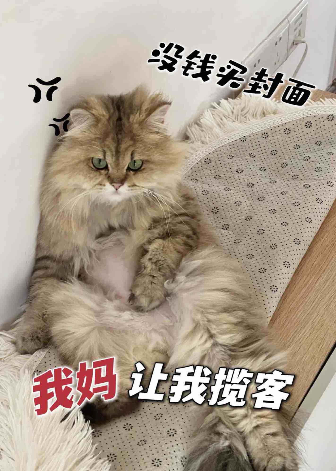 宦宠：厂公，娶我可好？