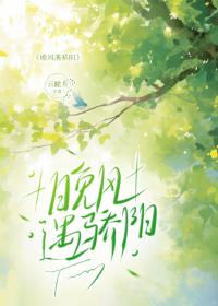 晚风遇骄阳
