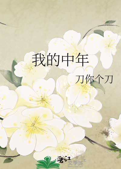 我的中年