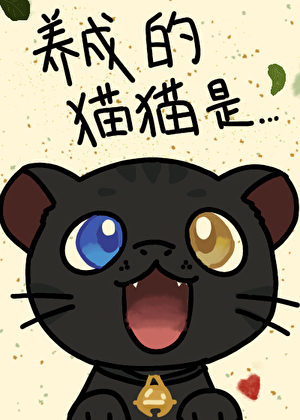 在线养猫，日负斗金