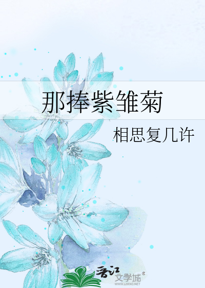 那捧紫雏菊