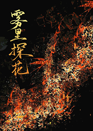 雾里探花