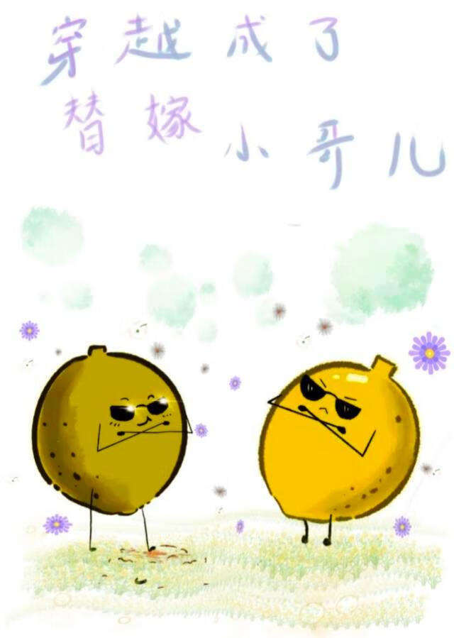 穿越成了替嫁小哥儿