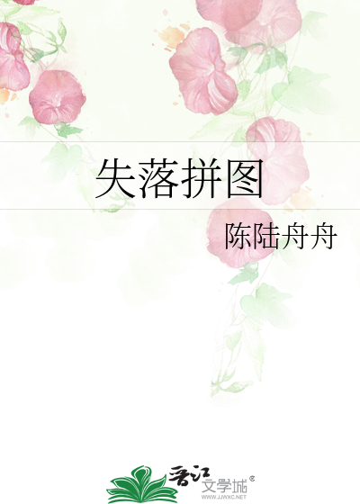 失落拼图