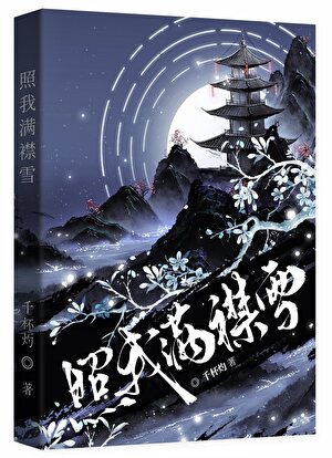 照我满襟雪