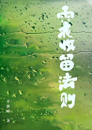 雨夜收留法则