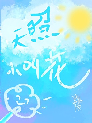 天照小叫花