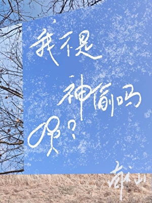 我不是神偷吗？