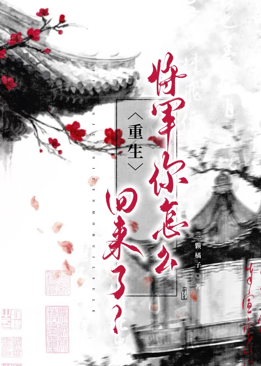 将军你怎么回来了:错位重生