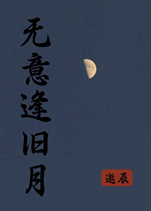 无意逢旧月