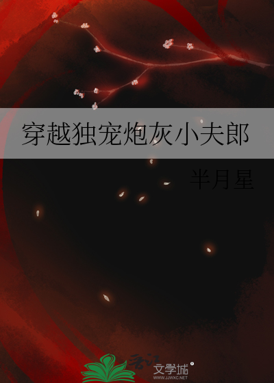 穿越独宠炮灰小夫郎