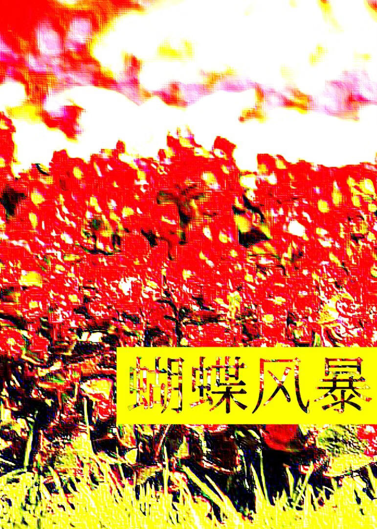 蝴蝶风暴[先婚后爱]