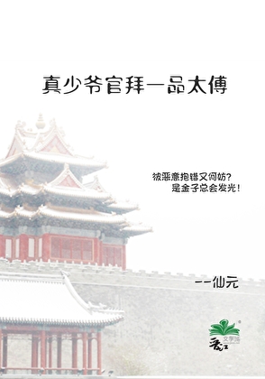 真少爷官拜一品太傅
