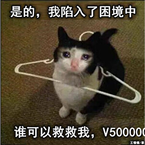 穿书反派，沙雕登场！