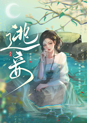 逃妾