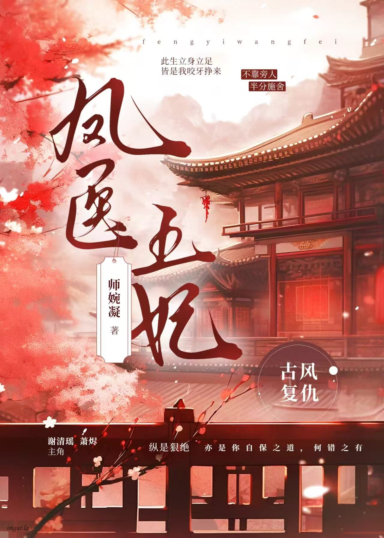凤医王妃