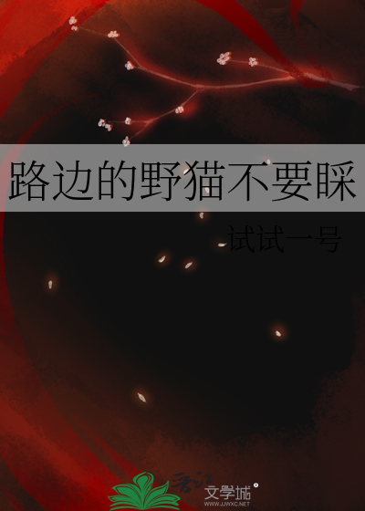 路边的野猫不要睬