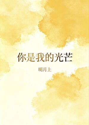 你是我的光芒[破镜重圆]