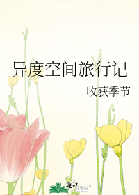 异度空间旅行记