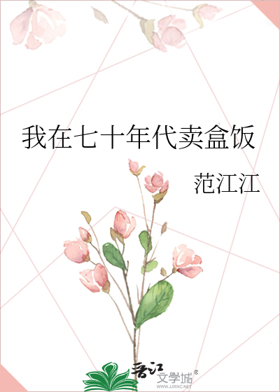 我在七十年代卖盒饭