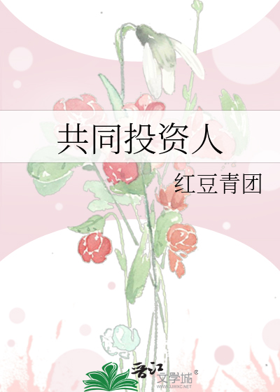 共同投资人