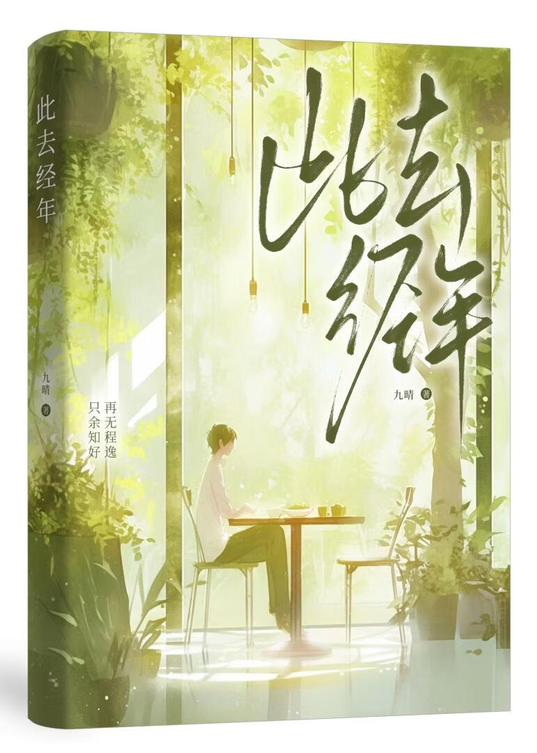 此去经年[娱乐圈]