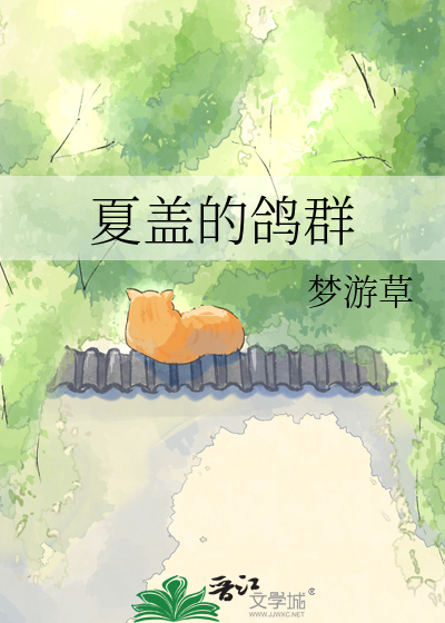 夏盖的鸽群
