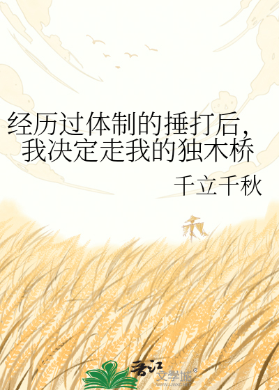 经历过体制的捶打后，我决定走我的独木桥